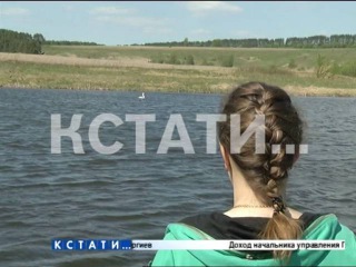 Раненый лебедь наше пристанище в Большемурашкинском районе