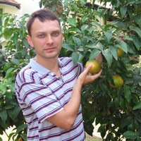 Денис Лукин