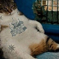 Виктор Гладышев | 