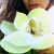 Фото пользователя Аня