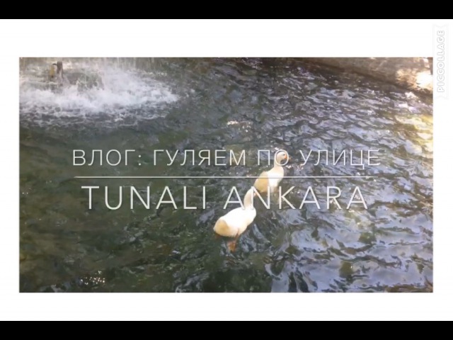 Влог Турция Анкара улица Тунали