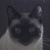 Фото пользователя Светлана