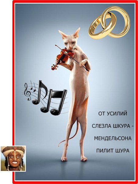 https://pp.userapi.com/c631928/v631928389/31ef3/WsKIHy2_DpA.jpg