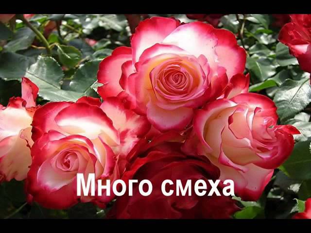 С днем рождения, сестренка!