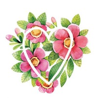 Happy cards открытки Happy cards открытки