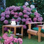 ДОБРОДЕЛ - Мебель на заказ в Екатеринбурге