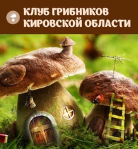 грибы в кировской области 2015 картинки и названия онлайн грибы в кировской области 2015 картинки и названия