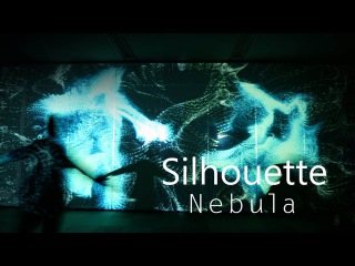 Silhouette Nebula