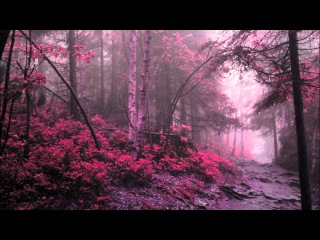 Richard Wagner -Lohengrin- Prelude to Act I