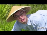 WELCOME TO THE RICE FIELDS MOTHERFUCKER