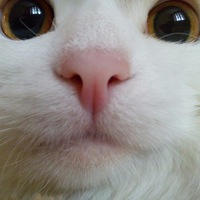 NoName