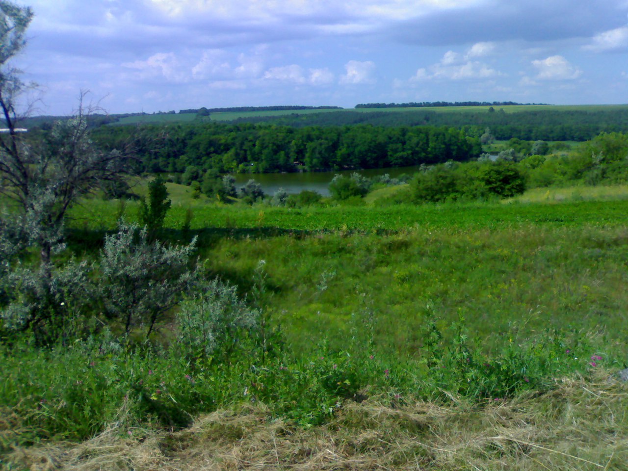 Киев - Мариуполь
