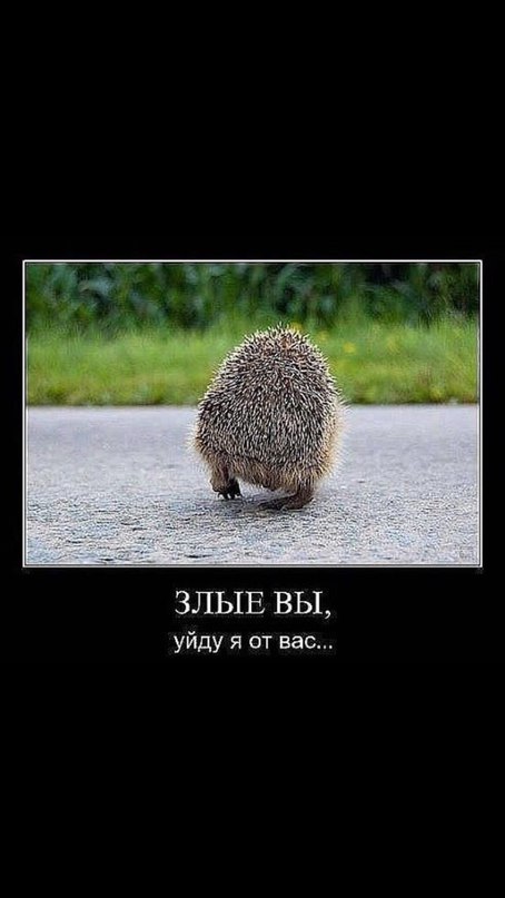 Открытки уйду от вас, тебя верю открытки