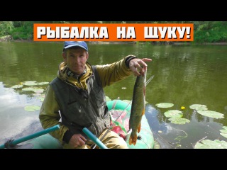 Рыбалка на щуку! Спиннинг.