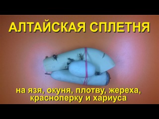 Снасть для ловли язя, окуня, плотвы, жереха, красноперки и хариуса