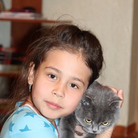 Дарья Сафонова | Сорск