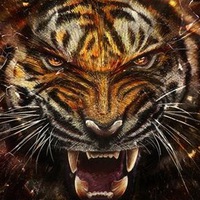 Кирилл Котляров | Ростов-на-Дону