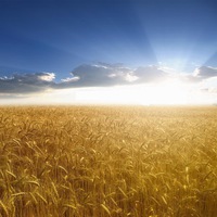 Uka Ivanov  TMandTMM