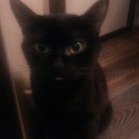 Владимир Кудрявцев | Ростов-на-Дону