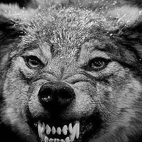 Евгений Артемов | Челябинск