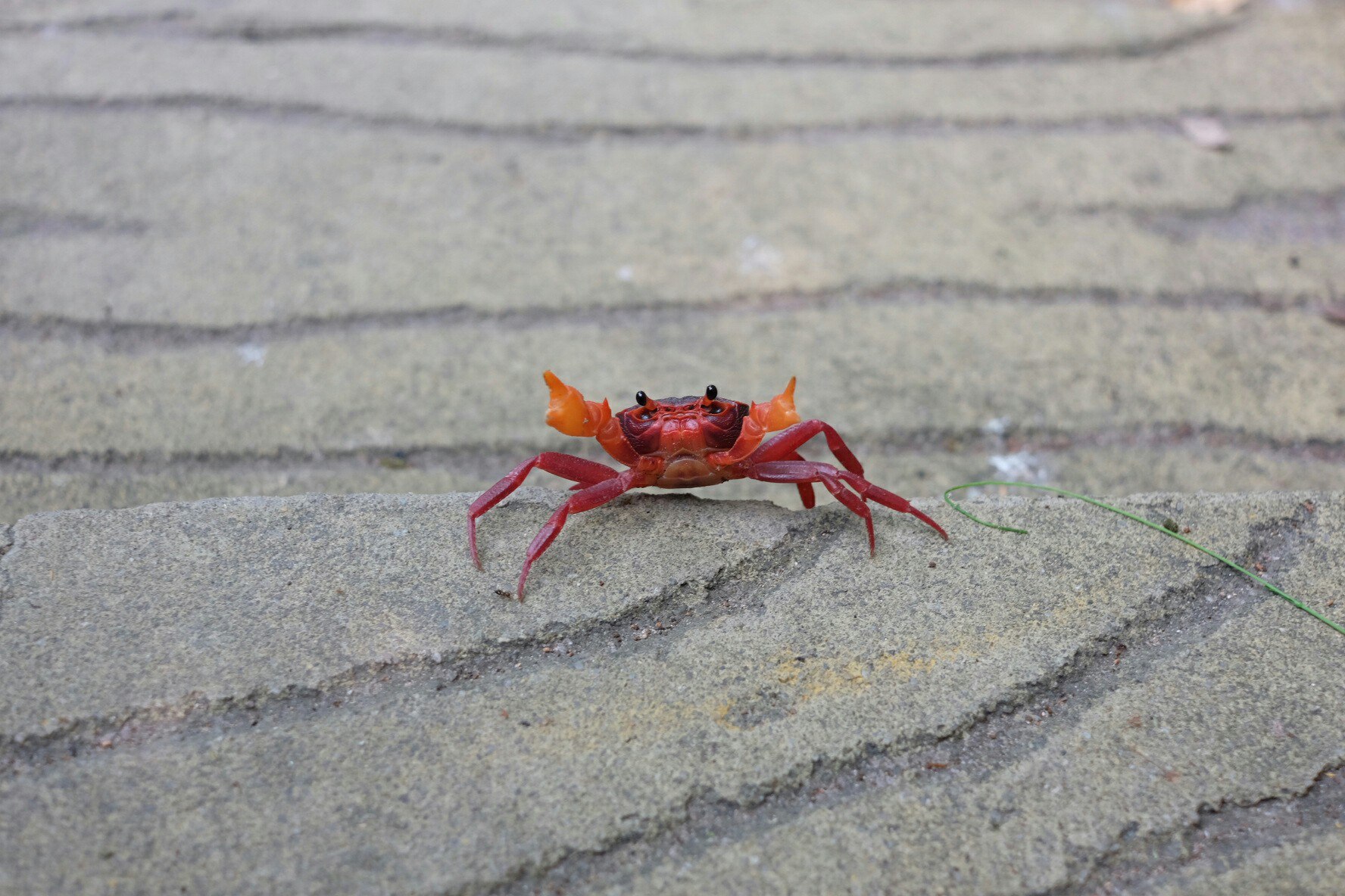 Гуанчжоу-Санья май 2016, Санья декабрь 2017