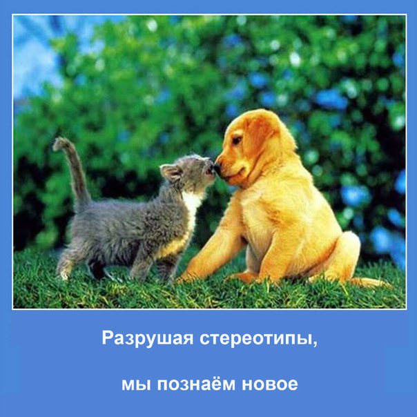 Сашка Фермер, Россия, Москва