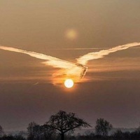 Александр Жирков