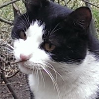 Елена Кошкина | Москва