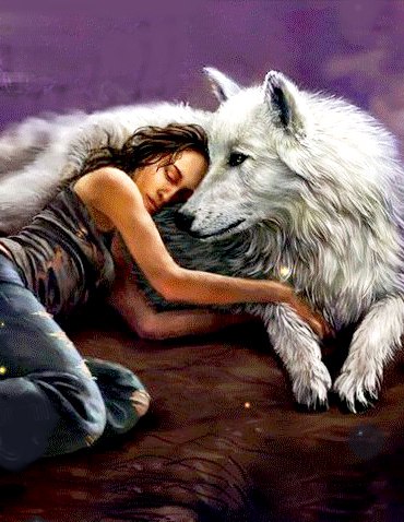 Картинка волк защищает девушку