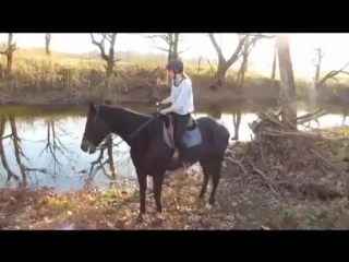 Лошадь впервые увидела реку