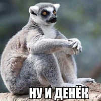 Светлана Стебунова | 