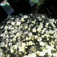 Кристина Югова | Санкт-Петербург