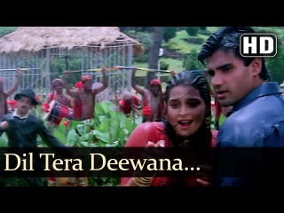 Dil Tera Deewana - Suneil Shetty - Shilpa Shirodkar - Raghuveer - Hindi Song - Rain Dance Song