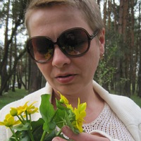 Елена Андриевская | Коростень