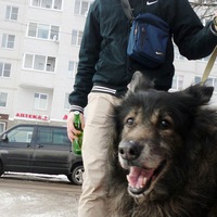 Алексей Пронин | Санкт-Петербург