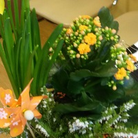 Людмила Казанская | Казань