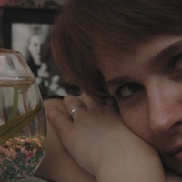 Елена Шмидт | Ребриха