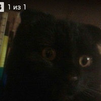 Дарья Константинова | Уфа