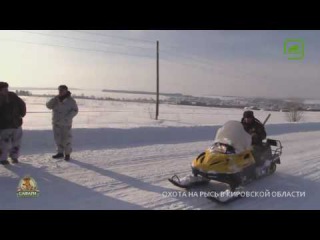 Охота на рысь в Кировской области / Lynx hunting in Kirov region (trailer)