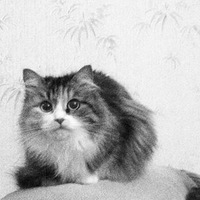 Андрей Захаров