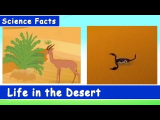 Science Facts for Kids - Life in the Desert - Fun and Learn Series | The Kids Pool