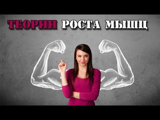 ТЕОРИИ РОСТА МЫШЦ ntjhbb hjcnf vsiw