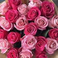 Оксана Новикова