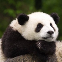 Надежда Романова