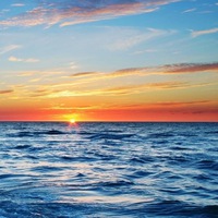 Ольга Маслова | Химки