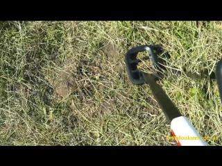 Сравнение Minelab X-Terra 705 и Minelab Go-Find 20