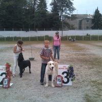 Виктор Боровой | 