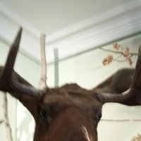 Василий Архипов | Тамбов