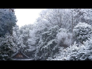 木嶋神社 雪の蚕の社 Konoshima Jinja (Kaiko-no-Yashiro) Shinto Shrine Kyoto Japan