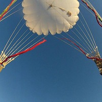 Санек Художник